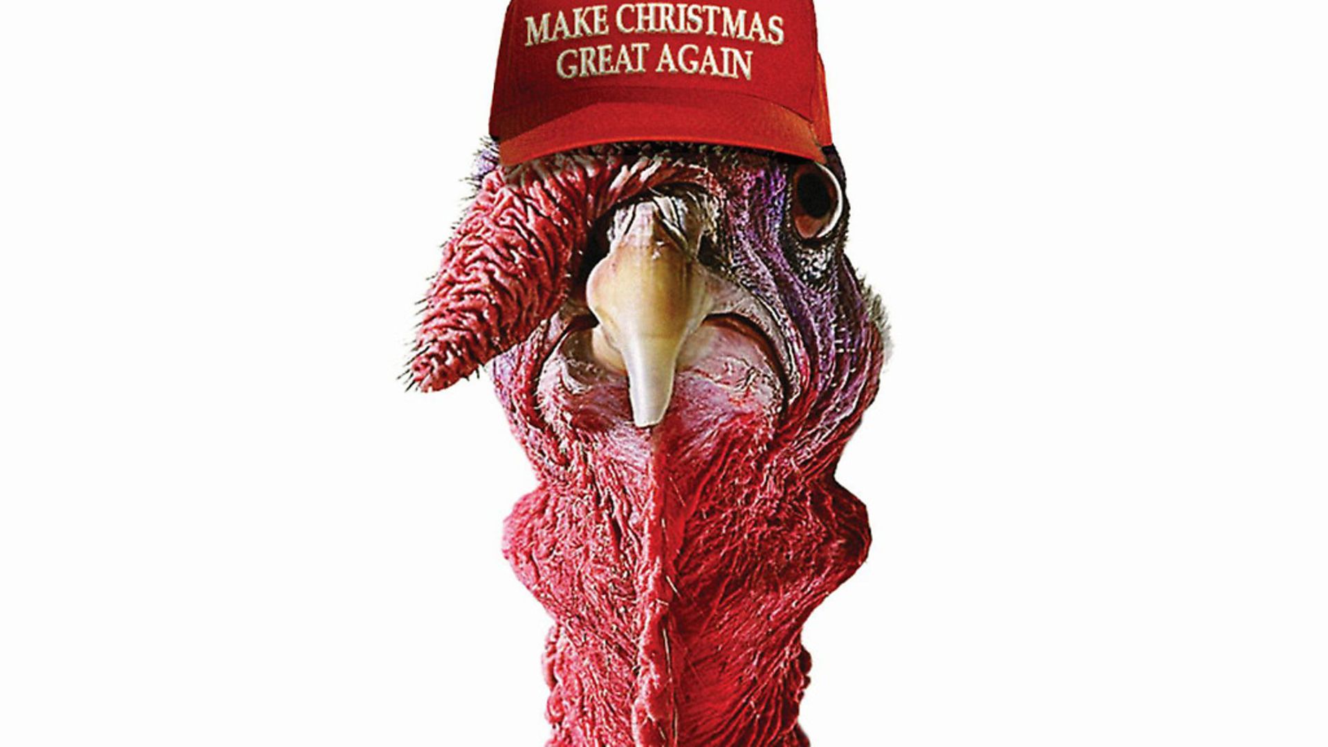 Make Christmas great again with a subscription to The New European. - Credit: Archant