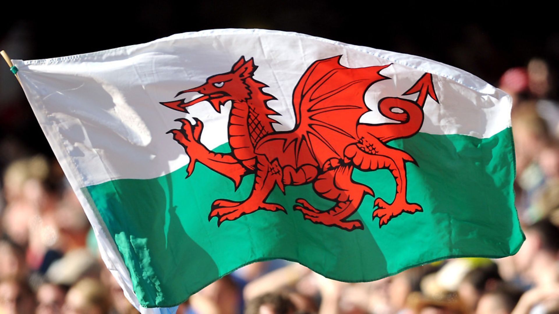 Welsh flag in a crowd (Photograph; Press Association) - Credit: Archant