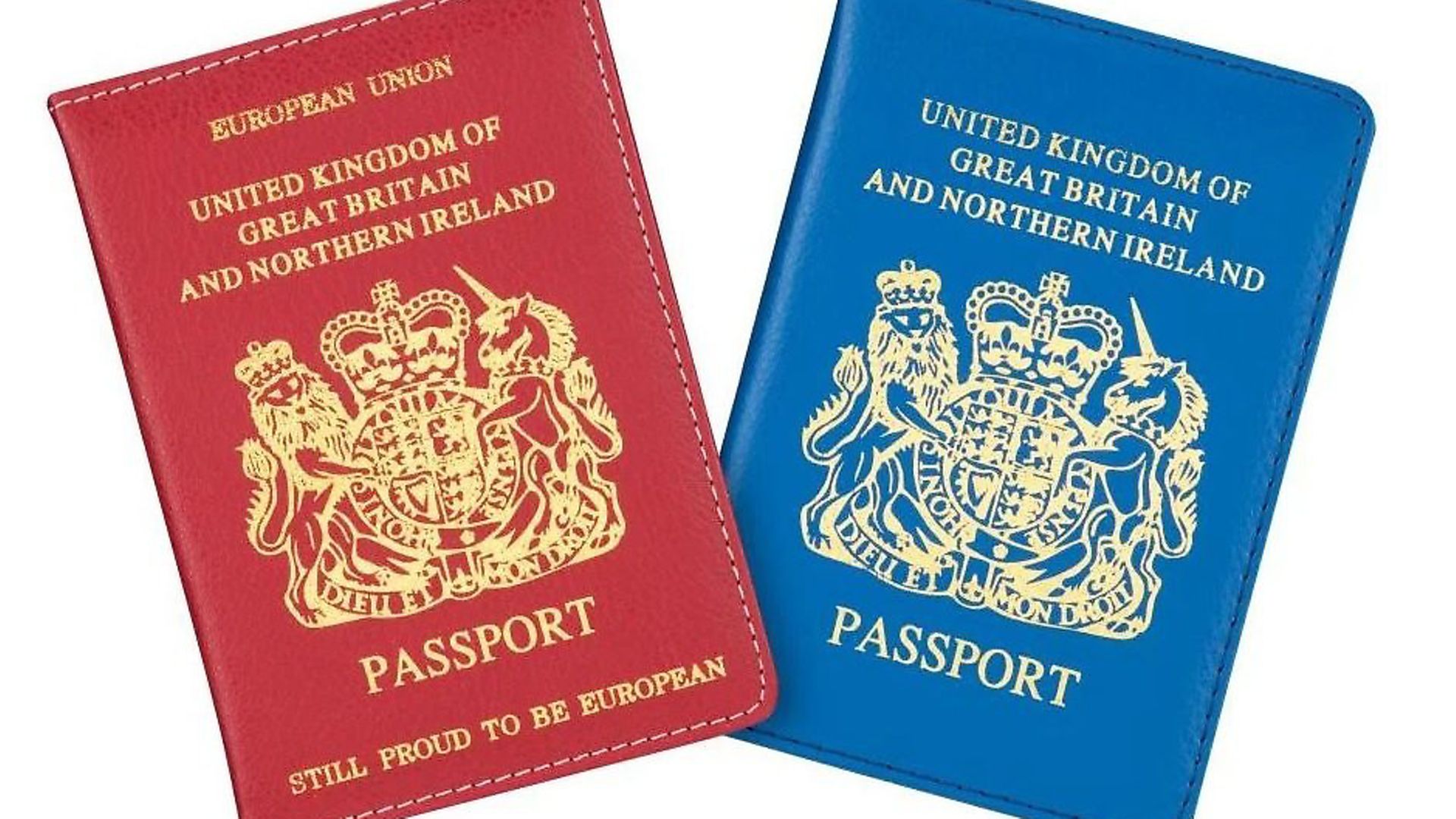 Poundland's new range of passport covers. Photograph: Poundland - Credit: Archant