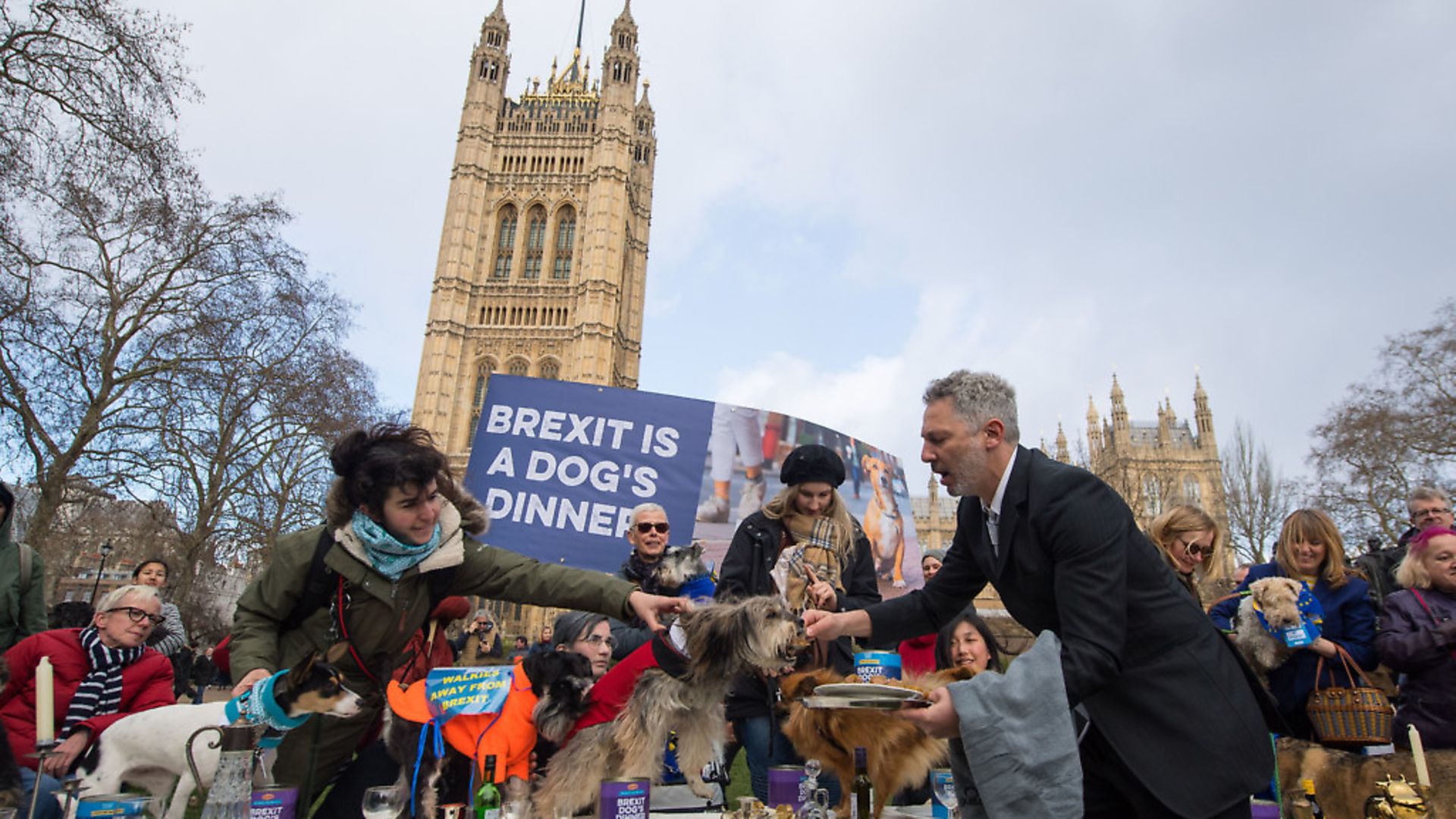 Dogs sitting on a dinner table are served with dog food during an anti-brexit event billed as "the biggest dog's dinner in history" at Victoria Tower Gardens, near the Houses of Parliament in London. Photograph: Dominic Lipinski/PA Wire - Credit: PA