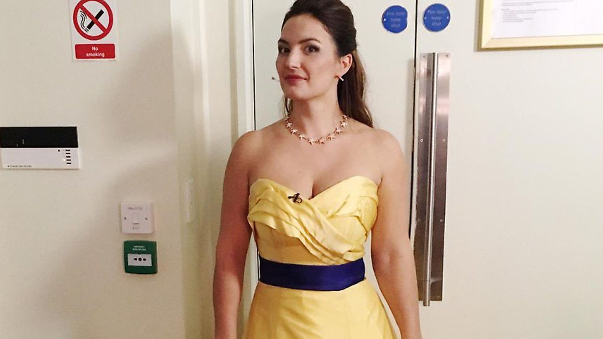 Anna Patalong's pro-EU dress which she was urged not to wear for her latest concert. Photograph: Twitter. - Credit: Archant