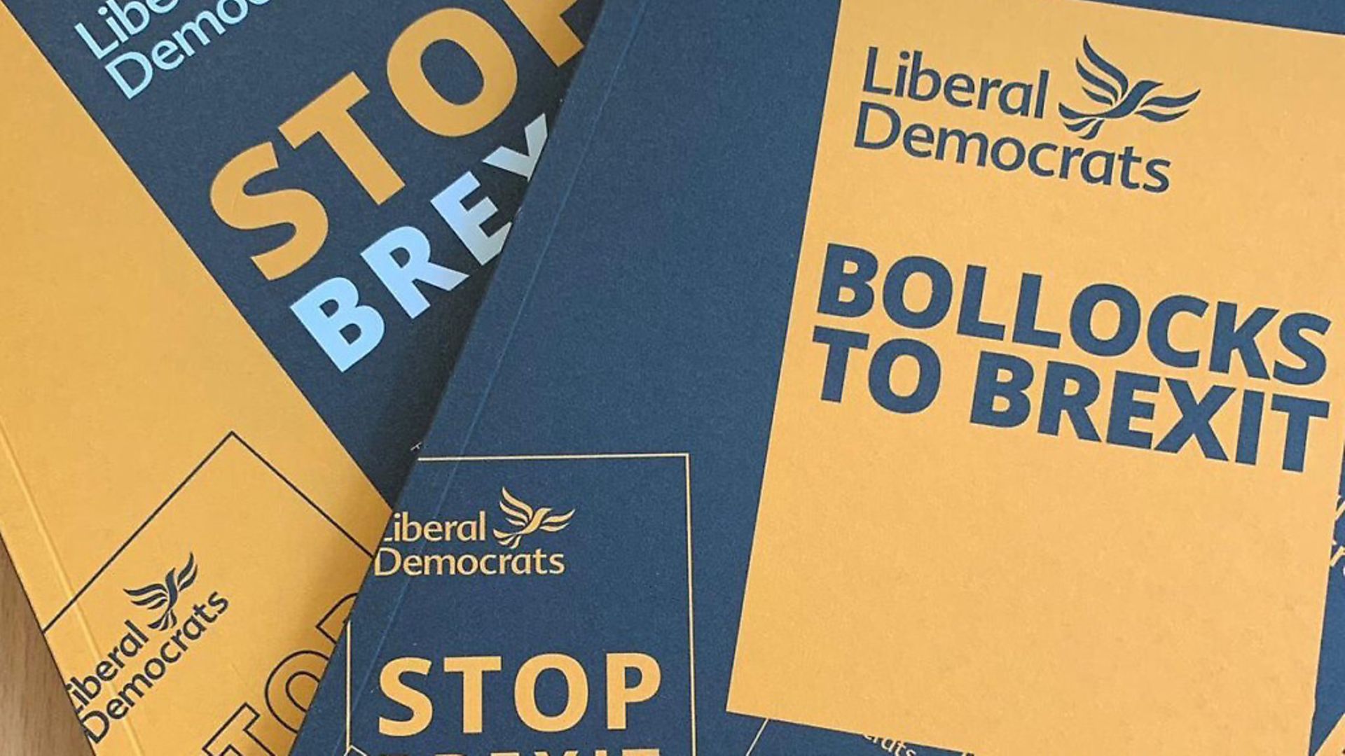 Lib Dems use 'Bollocks to Brexit' messaging. Photograph: Twitter. - Credit: Archant