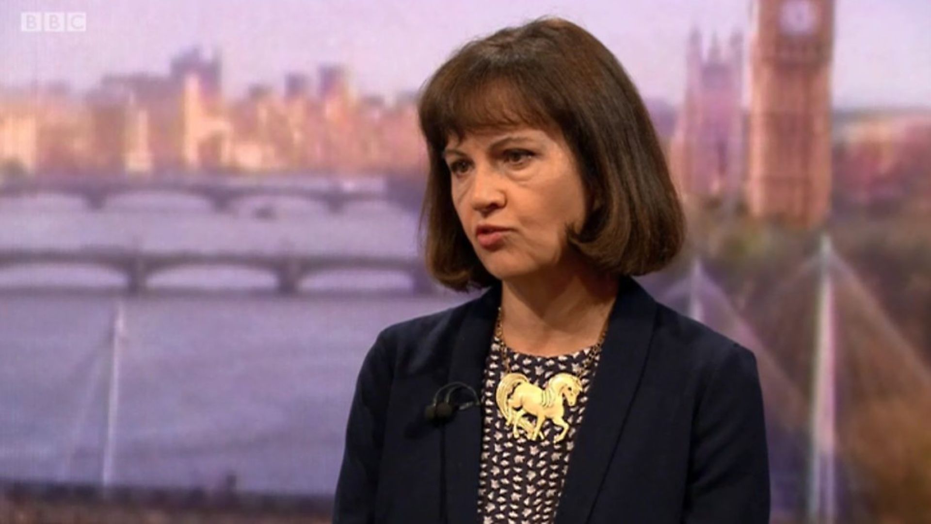 Caroline Flint on the BBC's Andrew Marr Show wears a unicorn necklace. Photograph: BBC. - Credit: Archant