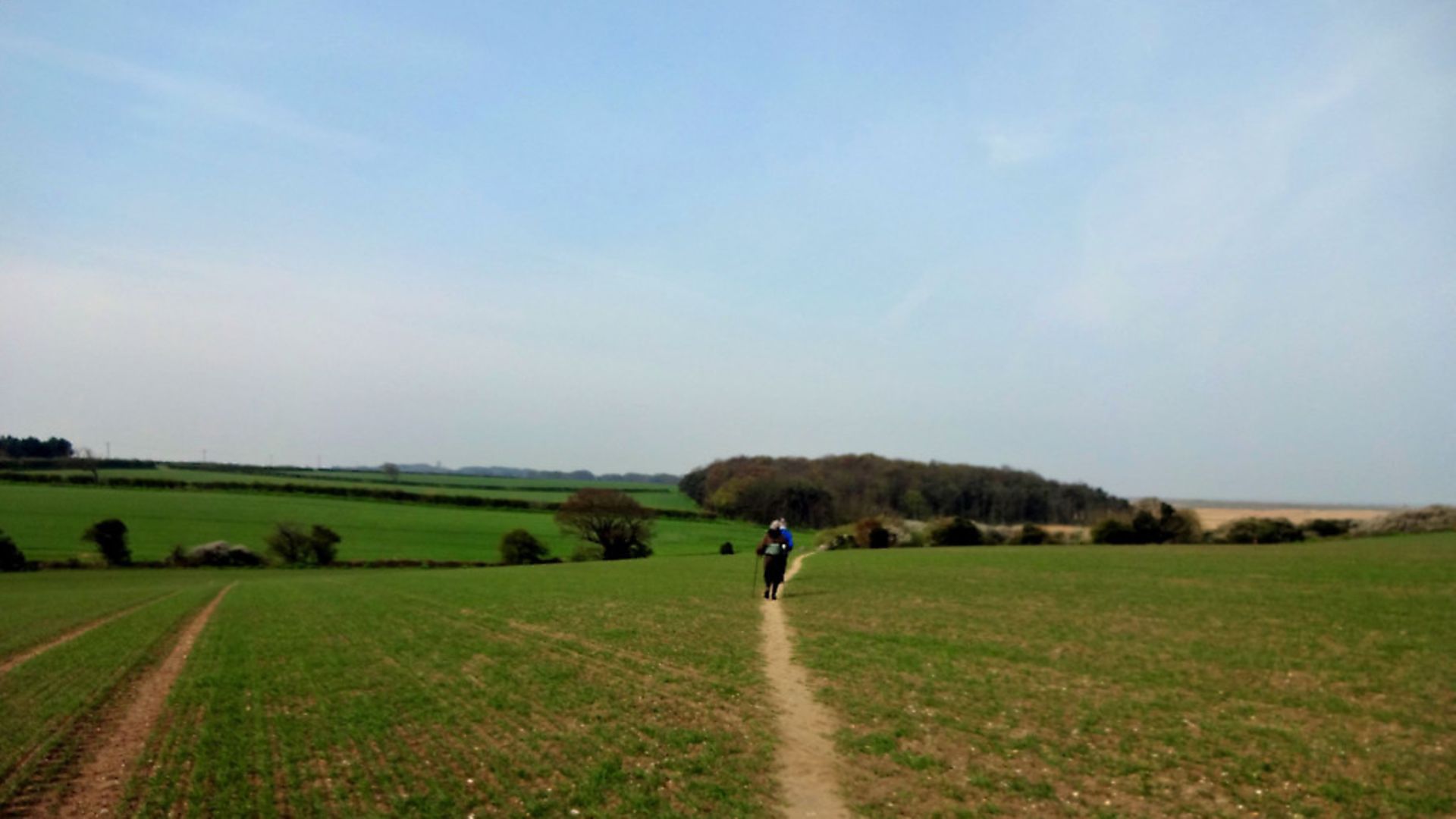 A field in Norfolk. - Credit: Archant