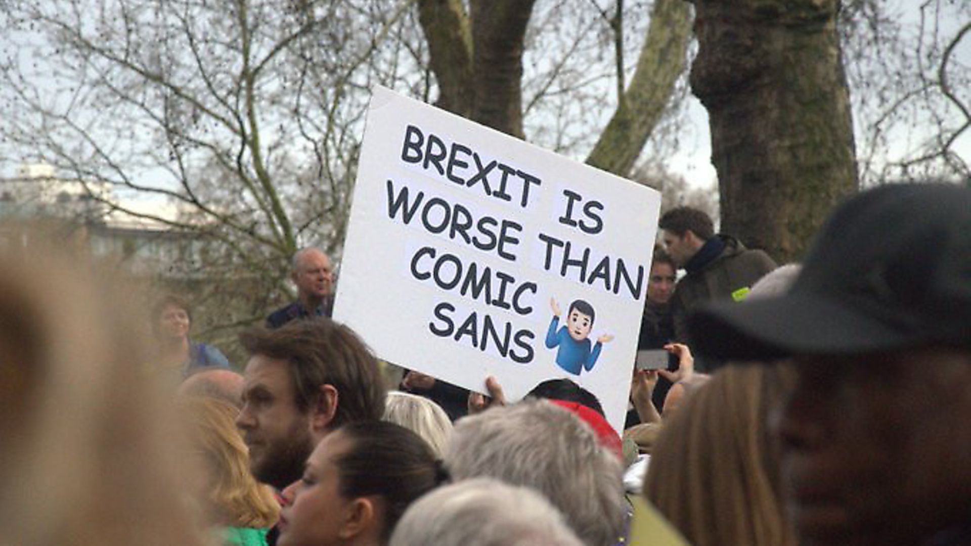 A People's Vote protester says Brexit is even worse than Comic Sans. Photograph: Twitter. - Credit: Archant