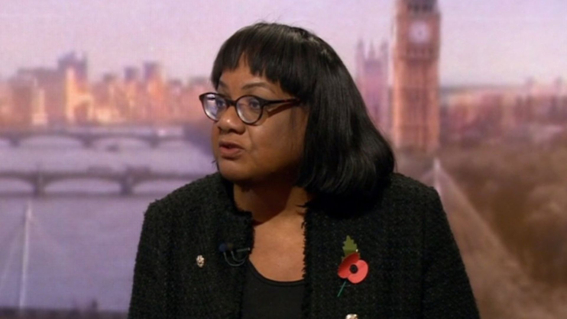 Diane Abbott speaking on BBC's The Andrew Marr show. Picture: BBC - Credit: Archant