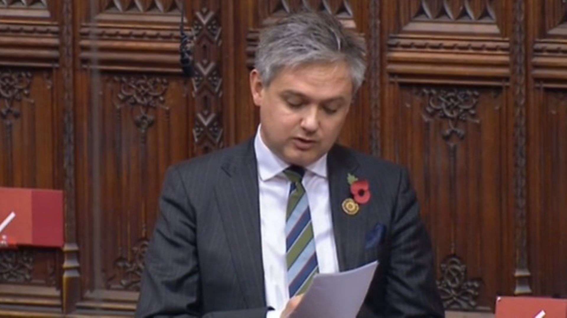 Lord Walney in the House of Lords - Credit: Parliament Live