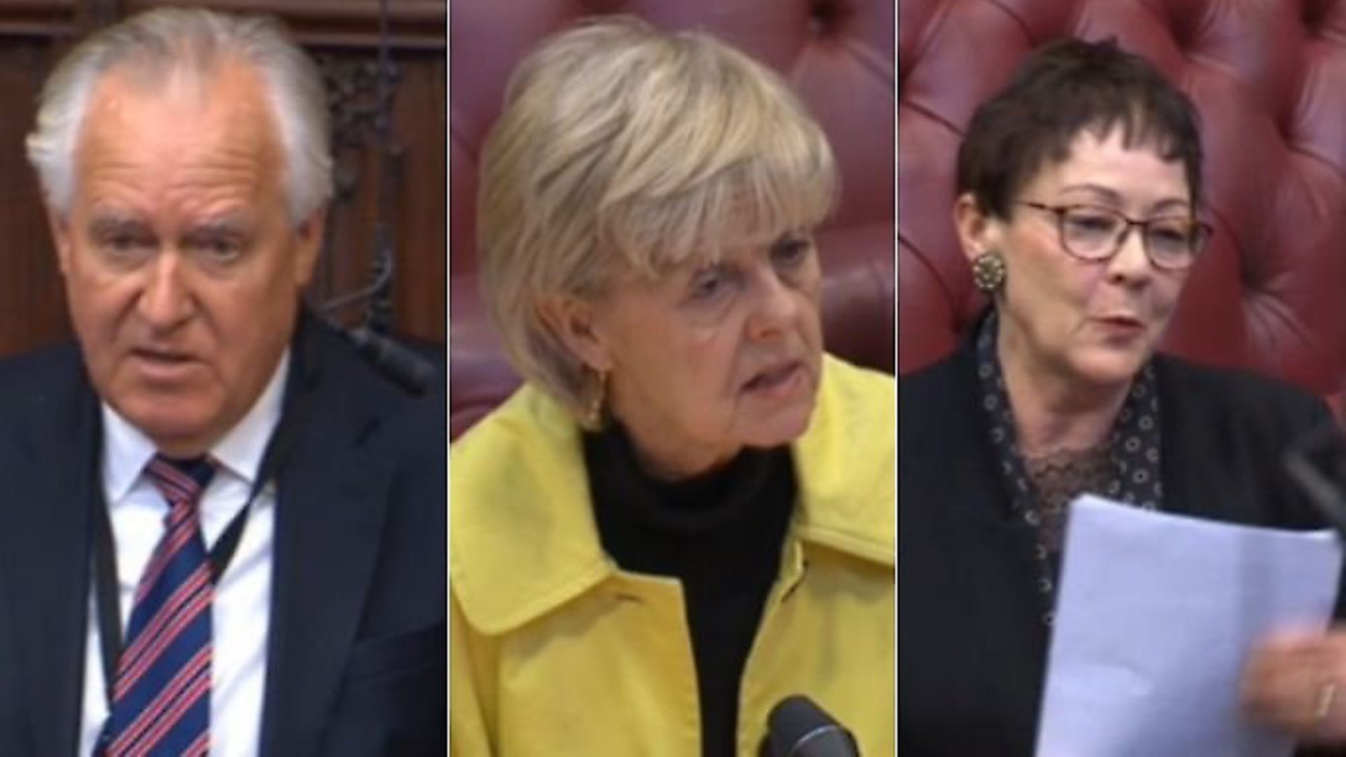 Lord Hain, Baroness Hayter, and Baroness Ludford warn about Brexit's impact on the economy. Photograph: Parliament TV. - Credit: Archant