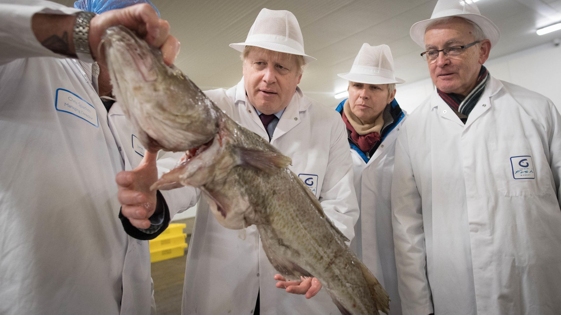 A cold, slimy, dead-eyed creature meets a fish at Grimsby market - Credit: Stefan Rousseau/PA Wire