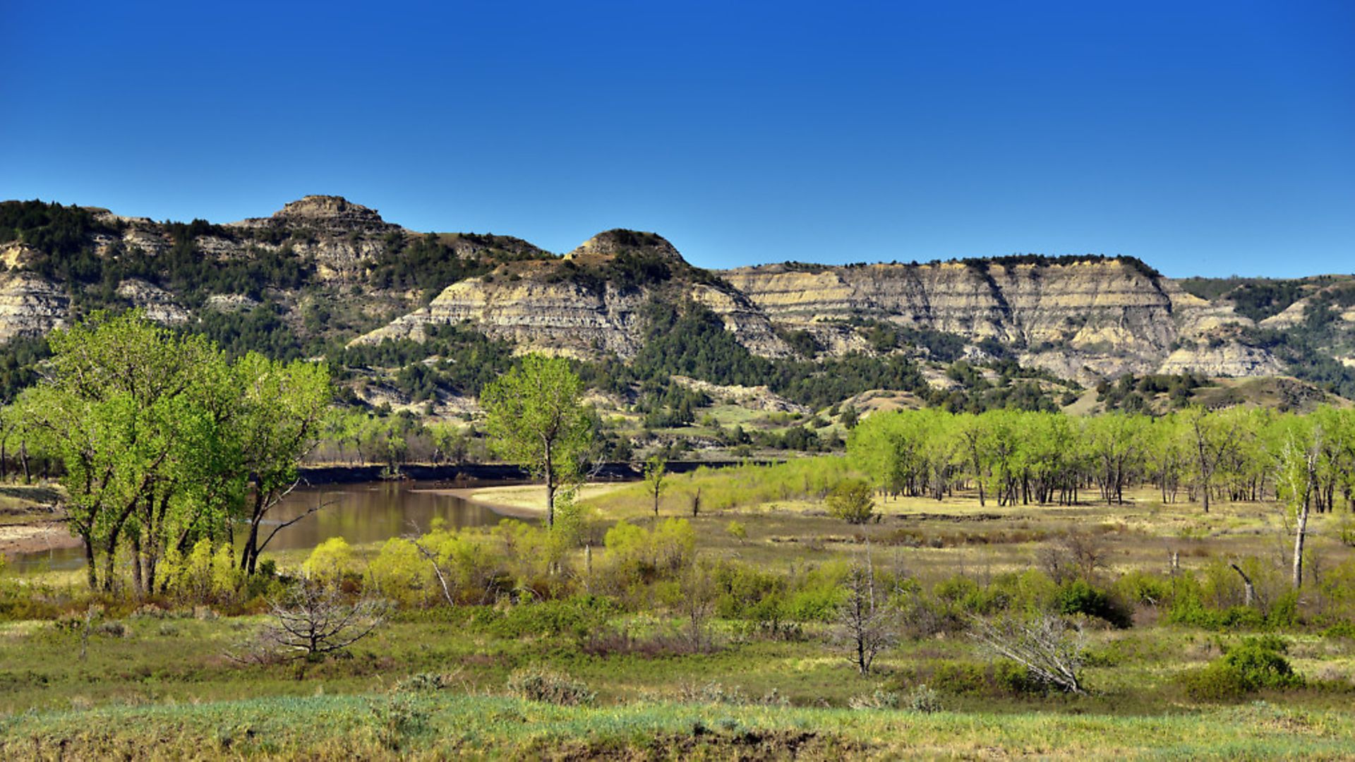 North Dakota is home to most speakers of Michif, a language created by a combination of French and the indigenous Cree. Picture: Getty Images - Credit: Getty Images