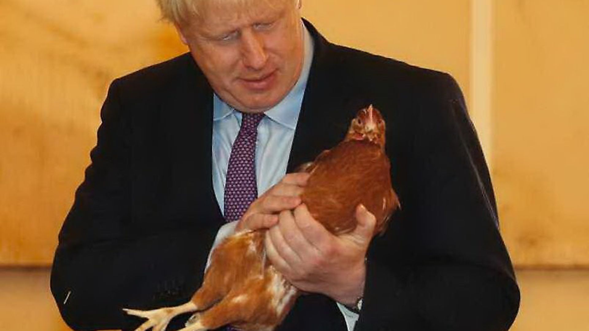 Boris Johnson inspects a chicken at Shervington Farm in Newport. Pic: Adrian Dennis/PA Wire - Credit: Adrian Dennis/PA Wire