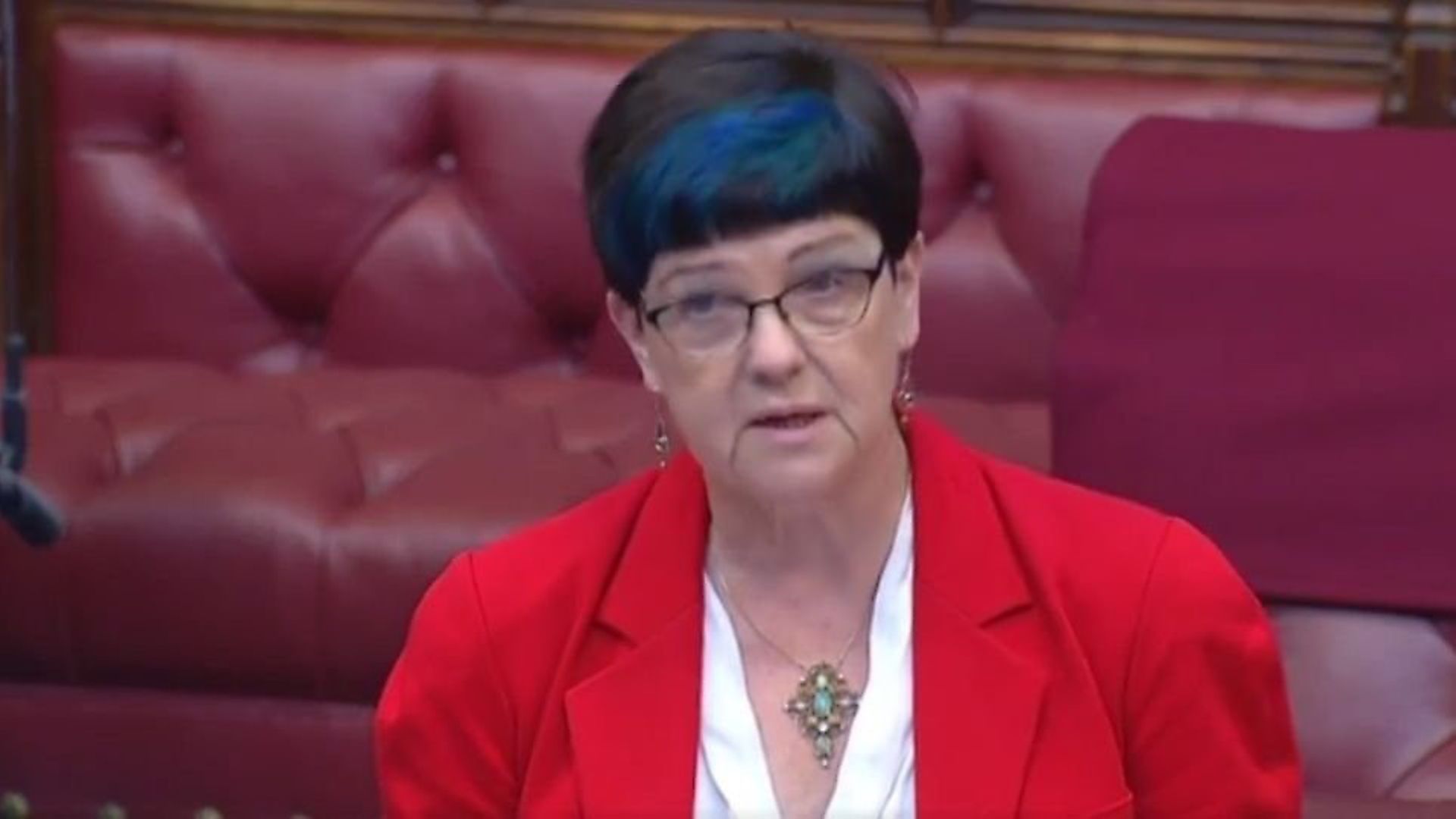 Baroness Neville-Rolfe in the House of Lords. Photograph: House of Lords. - Credit: Archant