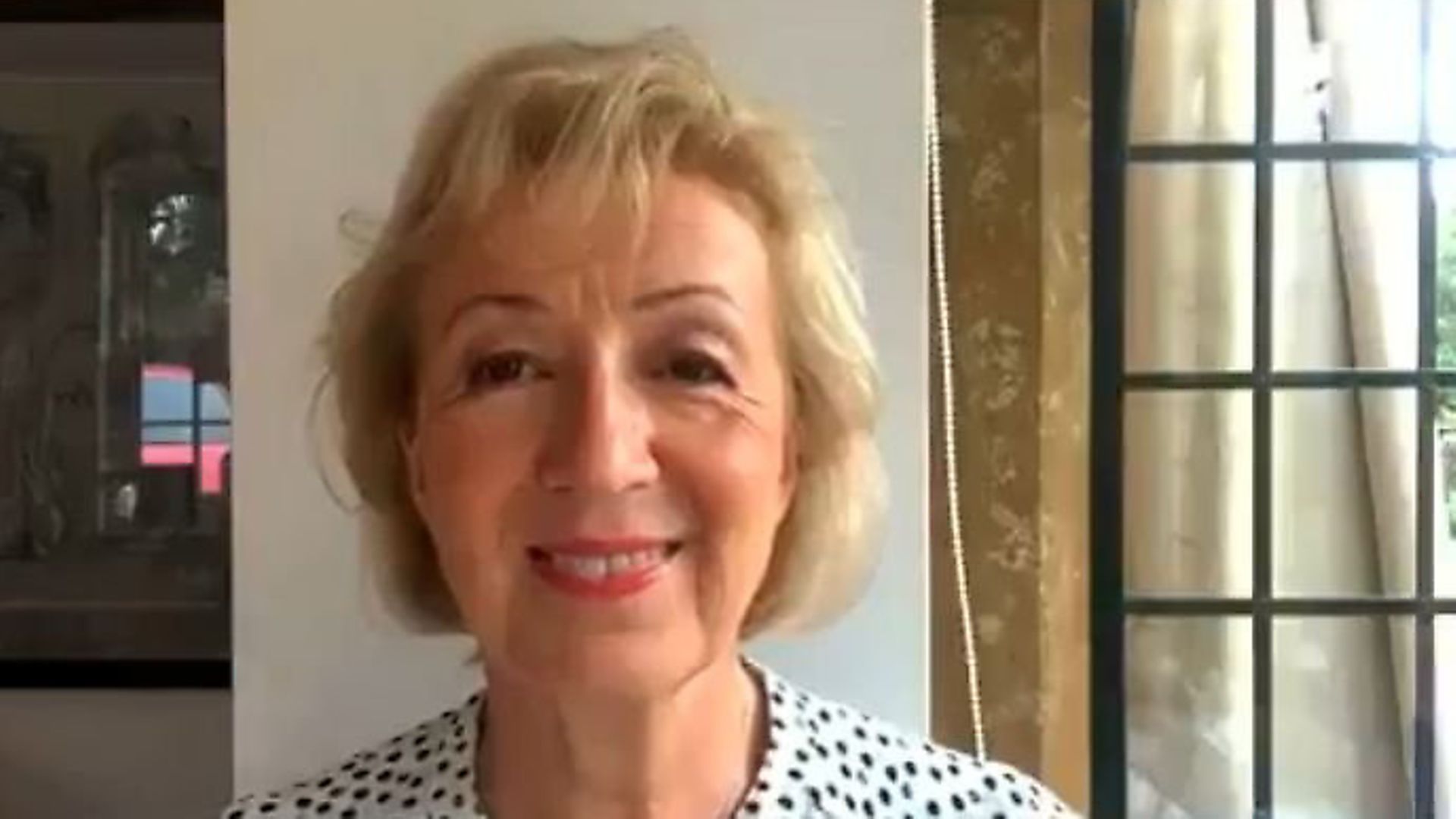 Brexiteer Andrea Leadsom talks about the possibility of a no-deal Brexit. Photograph: Twitter. - Credit: Archant