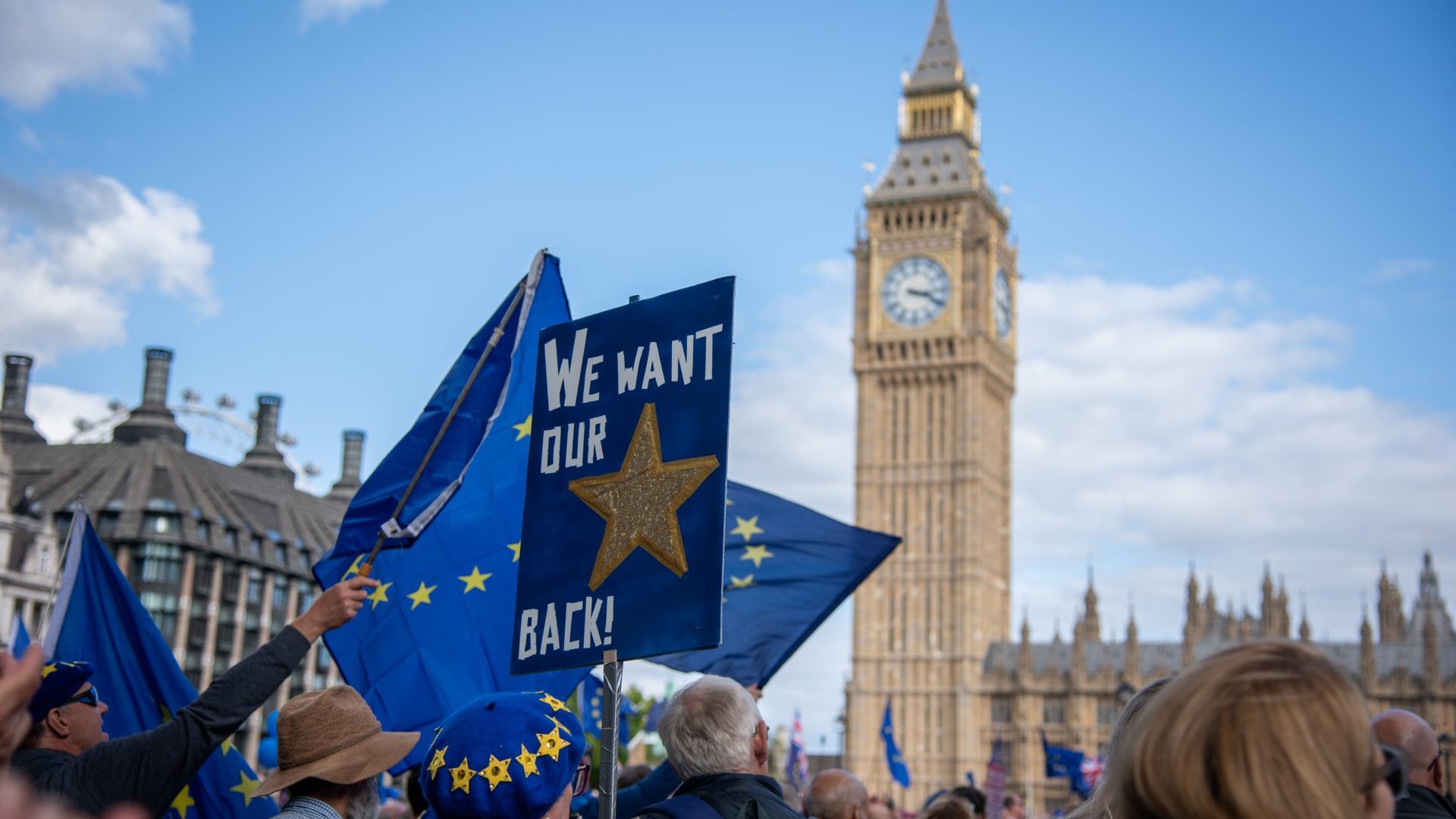 Protestors hold flags and placard marching toward Parliament Square during The National Rejoin March. Photo: Loredana Sangiuliano/SOPA Images/LightRocket via Getty Images