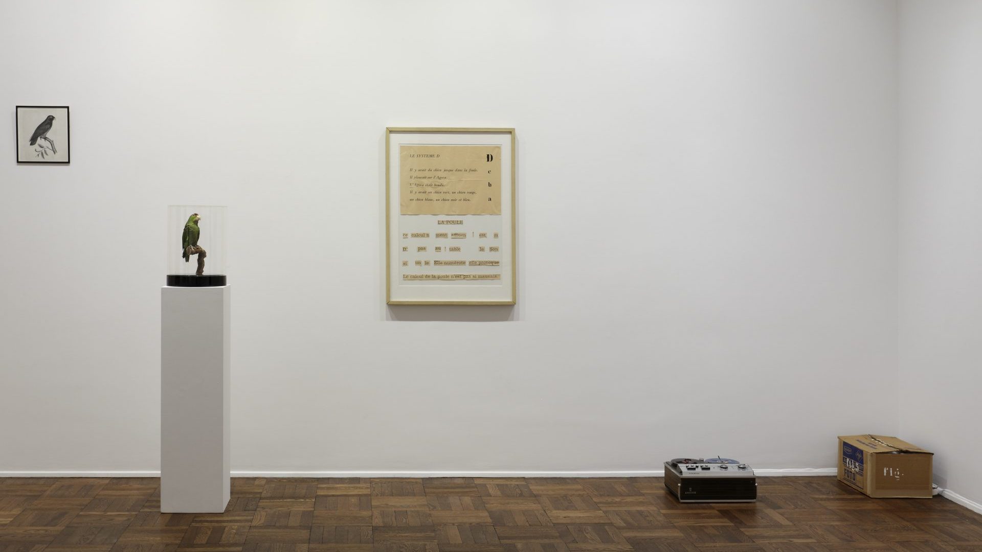 Marcel Broodthaers 
“Dites partout que je l’ai dit”, 1974 
Stuffed parrot under bell jar, audiotape, two framed works on paper, painted box 
© The Estate of the Marcel Broodthaers. Courtesy Michael Werner Gallery