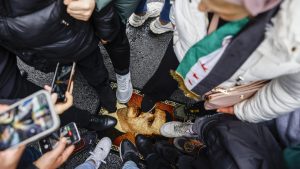 Demonstrators trample a carpet with a design showing president Bashar al-Assad during a protest outside the Syrian consulate in Istanbul. Photo: Kemal Aslan/AFP/Getty
