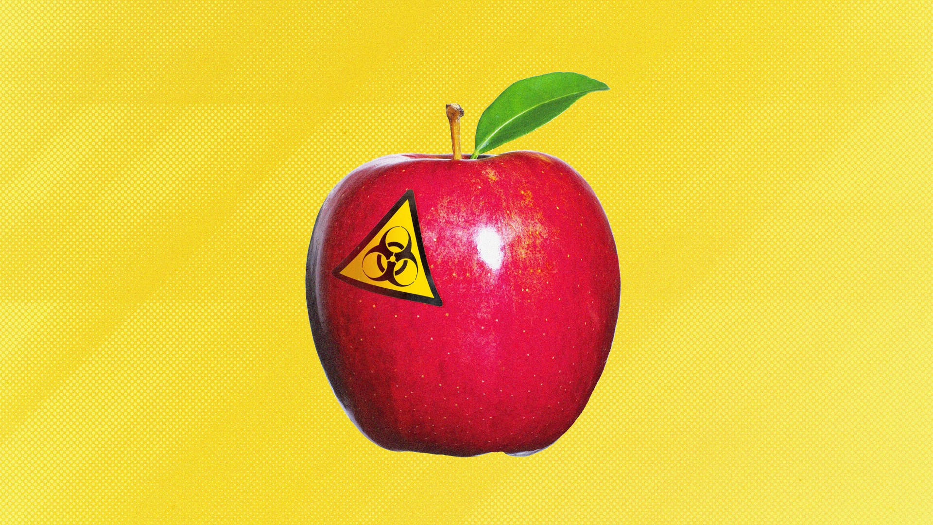 America’s apples appear to have almost bionic powers of survival. Image: TNE