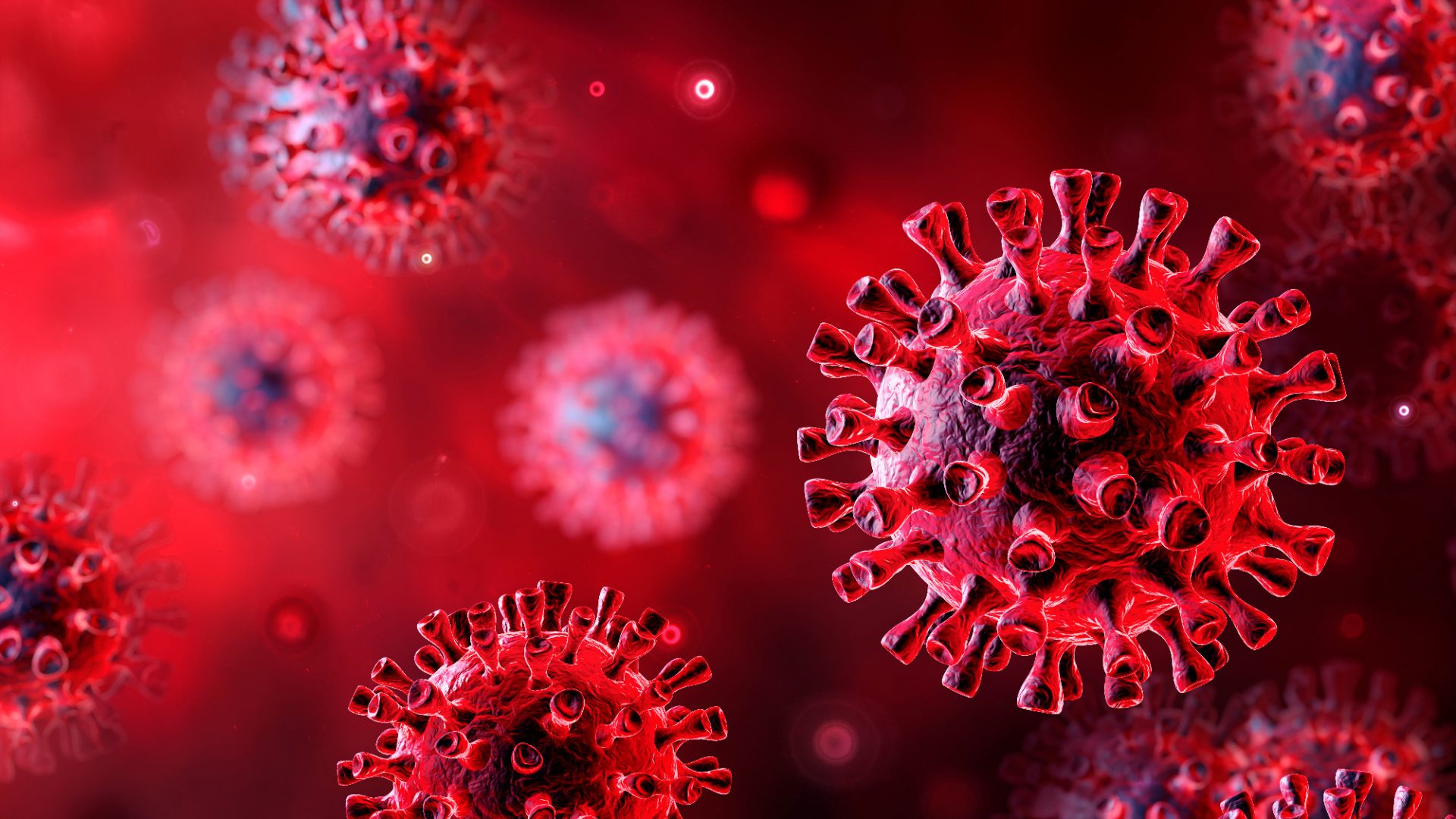 The coronavirus that shook the world in 2020 should have been a wake-up call for us all – but it seems we have not learned any lessons. Photo: Adobe Stock