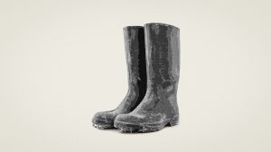 The Oxford English Dictionary’s first citation of welly dates from 1961, in the Guardian. Image: TNE