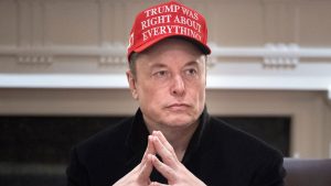 Elon Musk looks on during a Cabinet Meeting. Photo: BRENDAN SMIALOWSKI/AFP via Getty Images