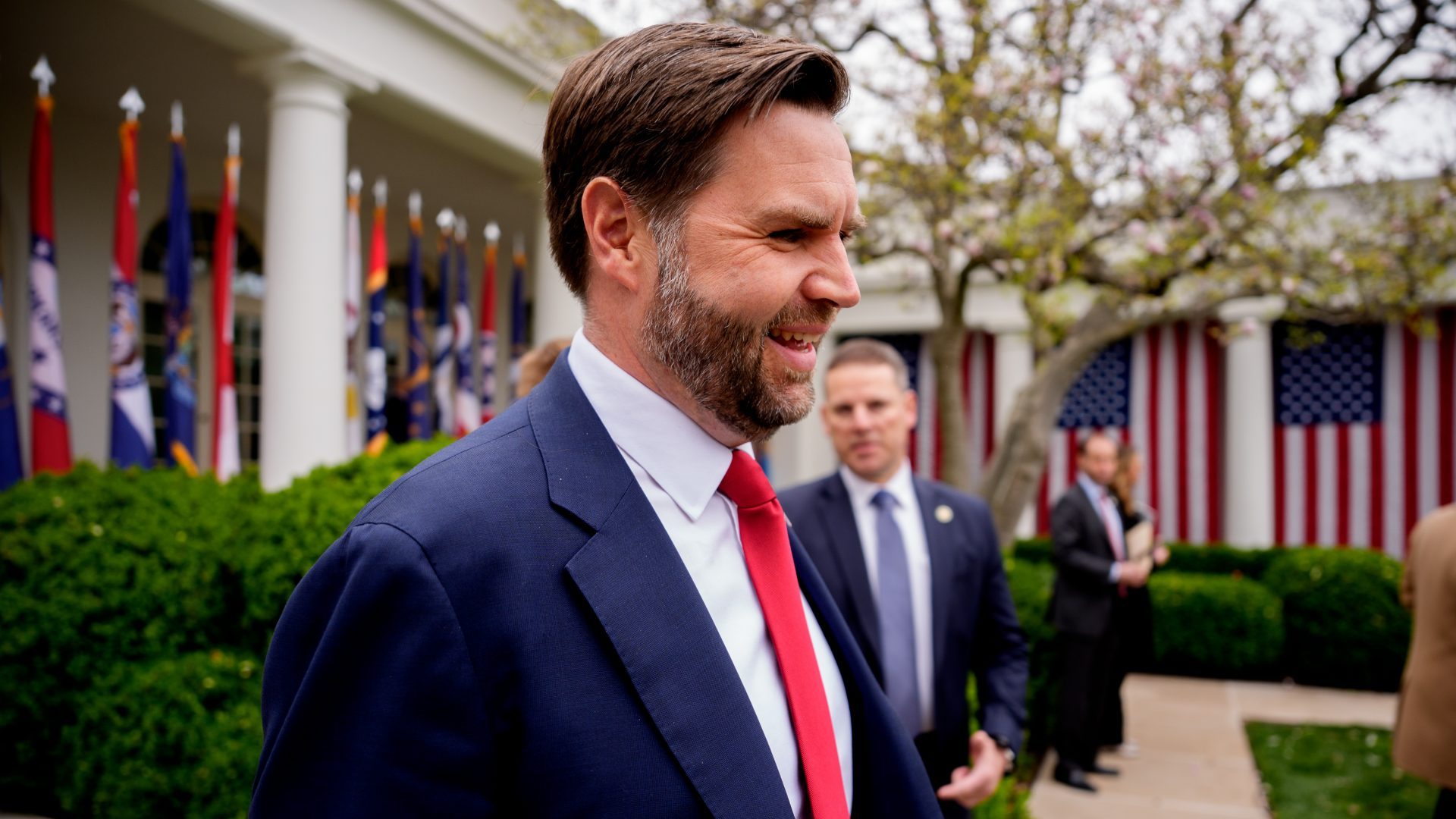 "The real reason Vance and Trump want a deal with the UK is to separate us further from the EU." Photo: Andrew Harnik/Getty Images