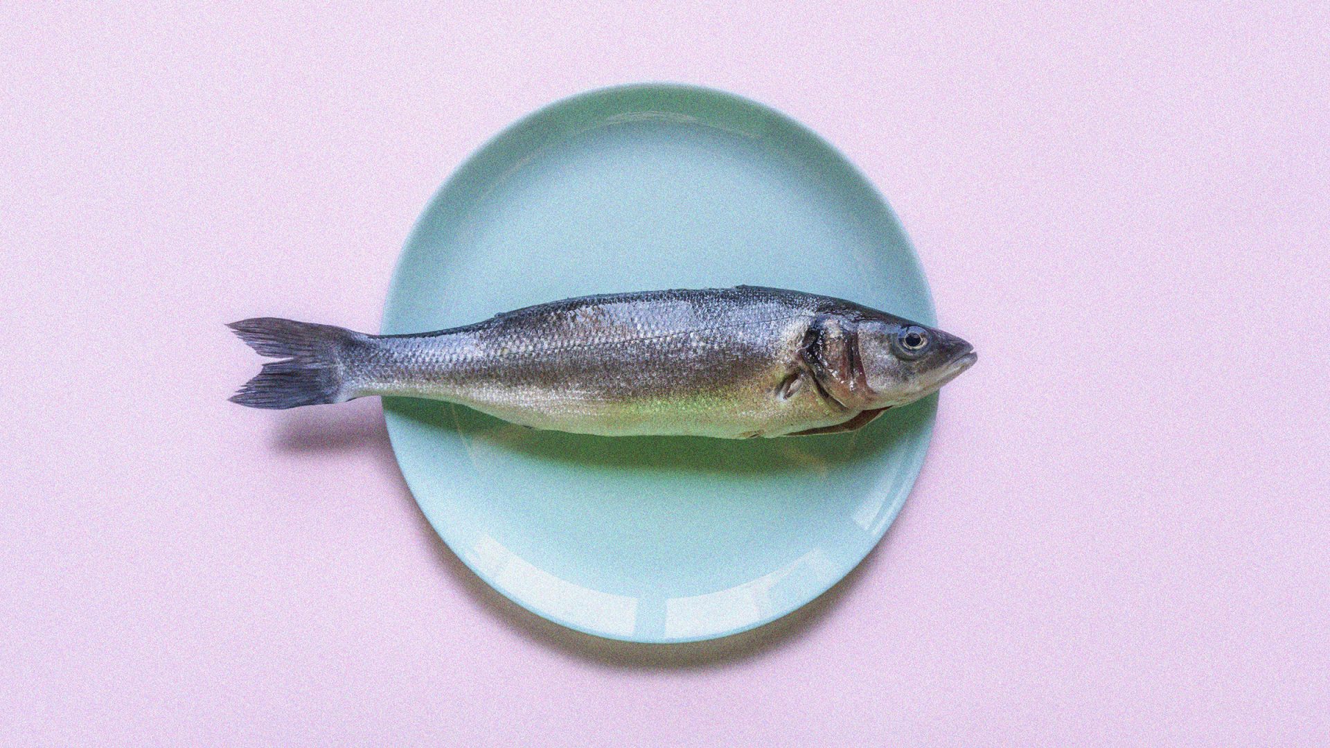 "I'll still eat bass and bream, because we all have our limits, and I guess I've just found mine" Image: TNE