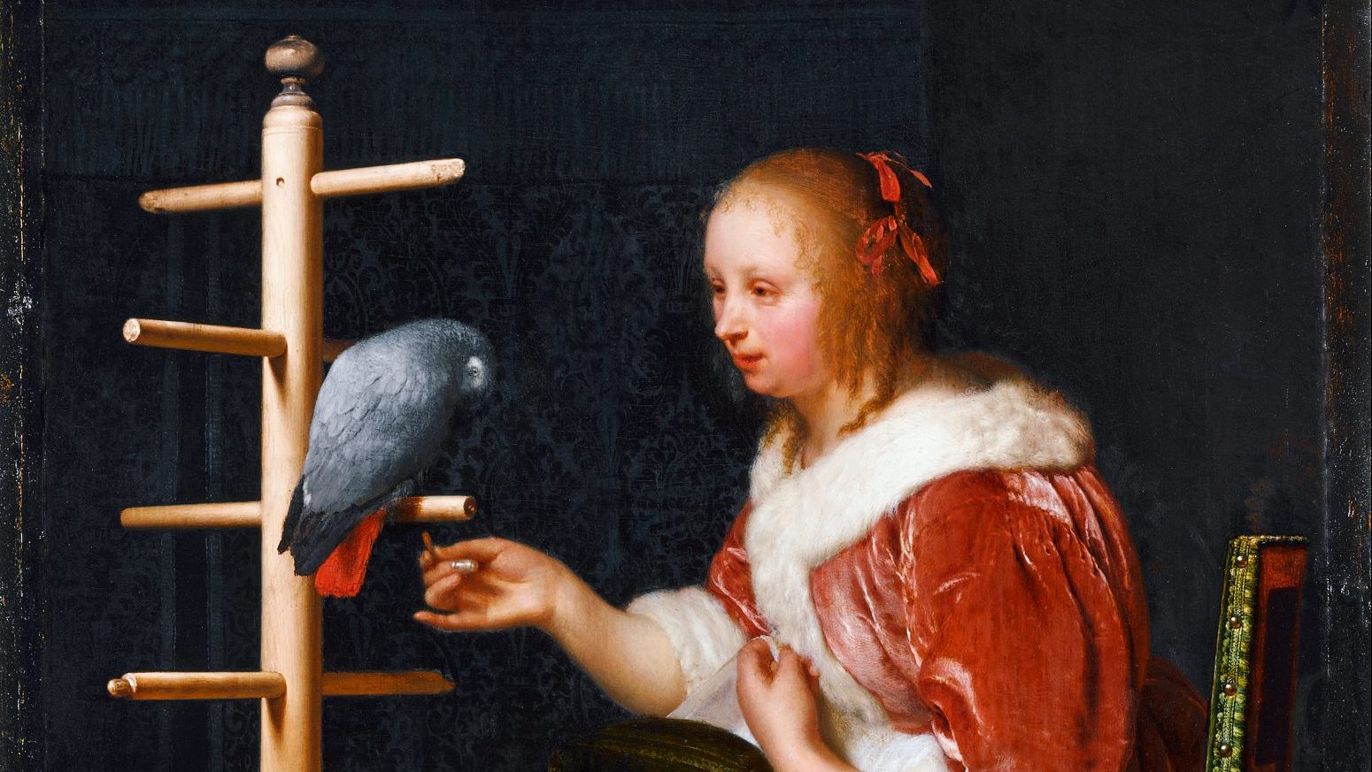 Young Woman Feeding a Parrot, 1663, by Frans van Mieris. IMAGE: FINE ART/HERITAGE/GETTY