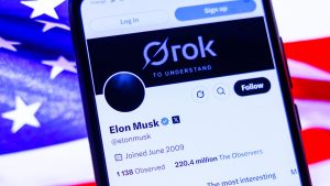 Elon Musk's Grok AI. Photo: Beata Zawrzel/NurPhoto via Getty Images
