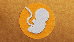 A Chinese scientist’s claim to be developing the world’s first “pregnancy robot” has gone viral. Image: TNW