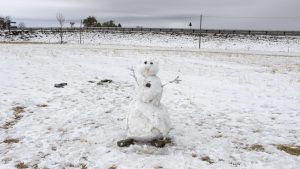 A snowman in Warden, Free State province, South Africa. Image: wikus de wet/Afp/getty