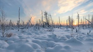 The winter landscape  the remote Yamal Peninsula in north-west Siberia. Image: Adobe