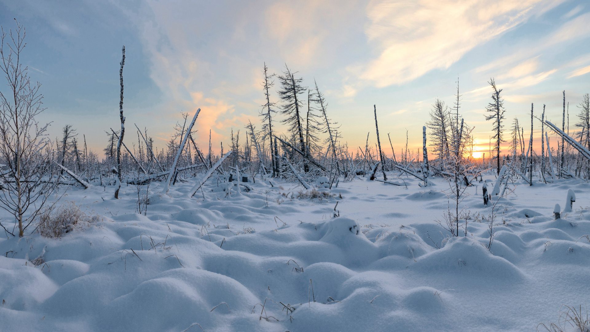 The winter landscape  the remote Yamal Peninsula in north-west Siberia. Image: Adobe