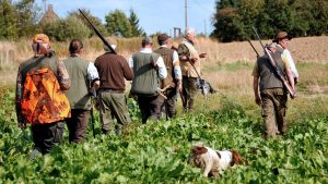 Hunters walk through fields on the first day of the hunting season in northern France. Image: PHILIPPE HUGUEN/AFP/Getty
