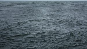 Wolfgang Tillmans at the Bibliothèque publique; his show draws on 35 years of photos, videos and prints. Images: galerie buchholz/chantal crousel/centre pompidou