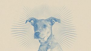 Dogs can signify “more than one dog” or “belonging to the dog”; English orthography distinguishes between the two different senses by means of an apostrophe. Image: TNW