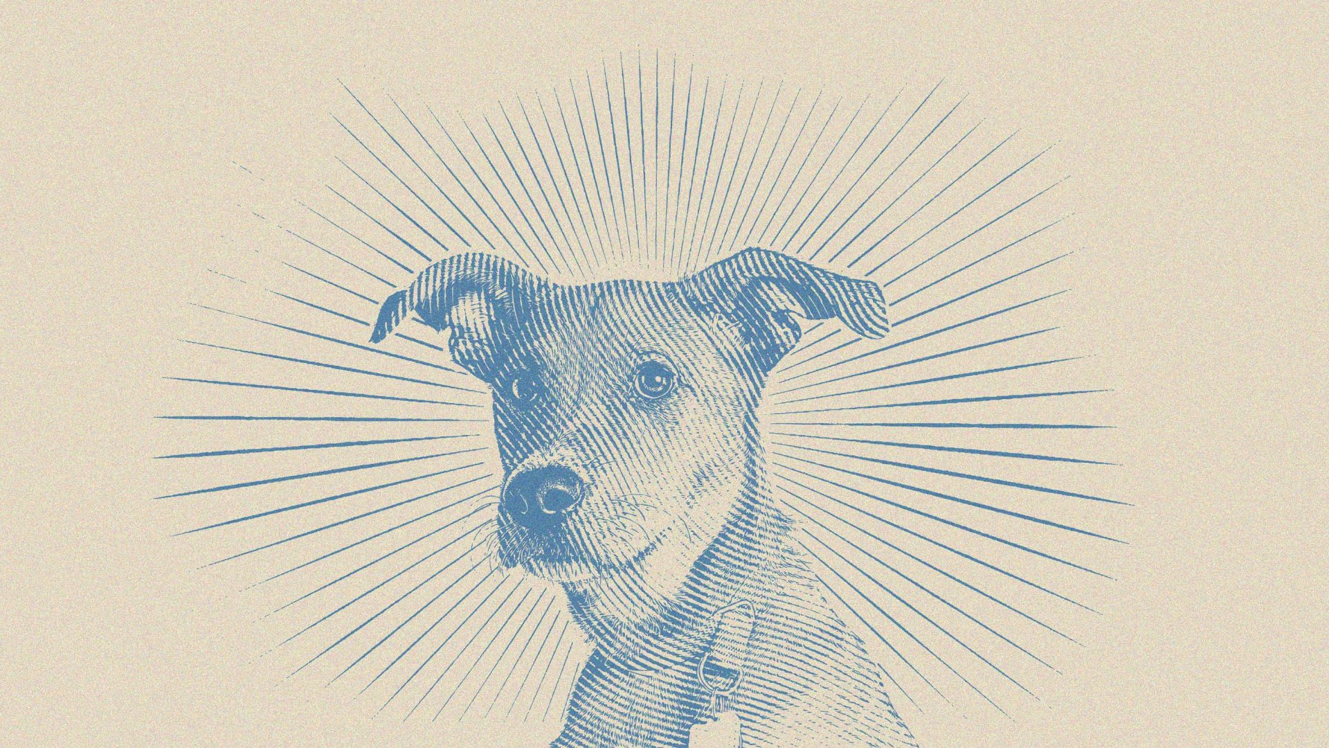 Dogs can signify “more than one dog” or “belonging to the dog”; English orthography distinguishes between the two different senses by means of an apostrophe. Image: TNW