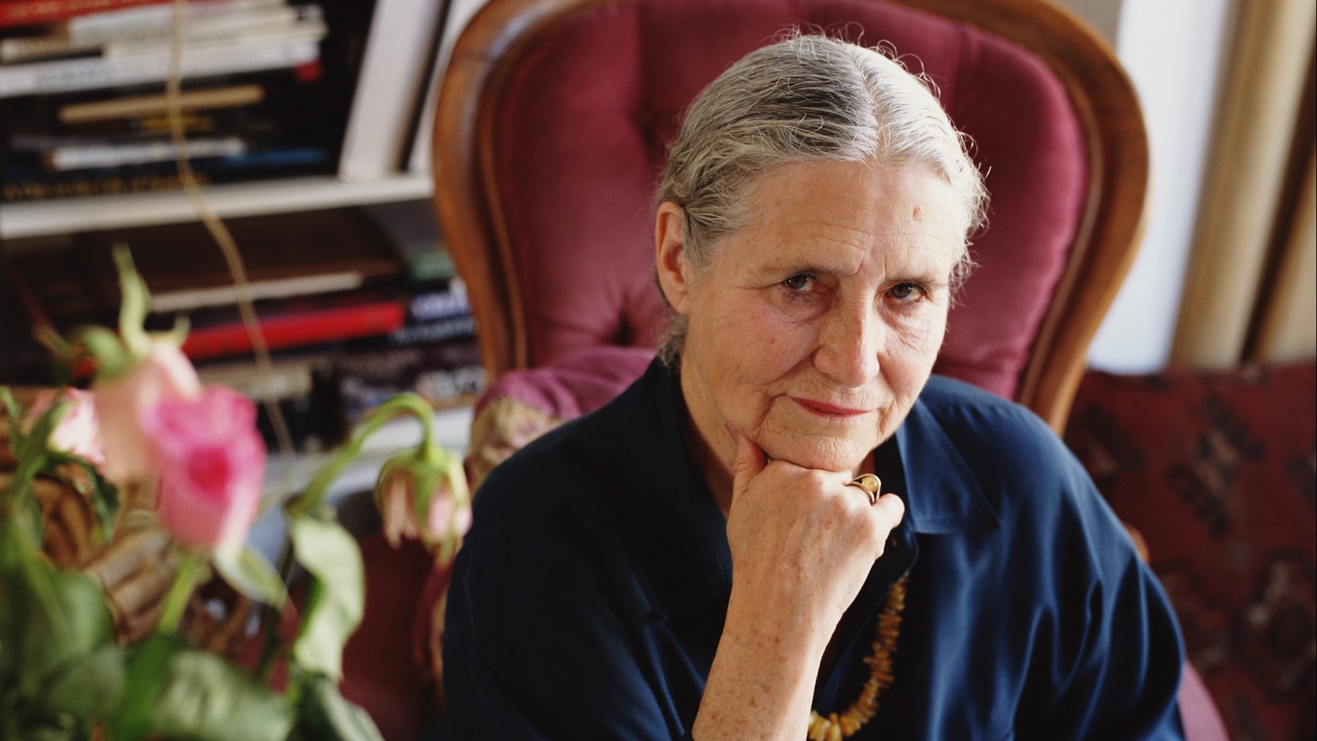 Writer Doris Lessing at home in West Hampstead, London, 1994. Image: David Levenson/Getty