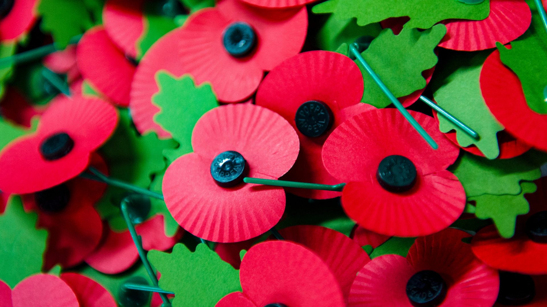 Like the union flag, the poppy is being weaponised by the far right while politicians look the other way. Image: Leon Neal/AFP/Getty