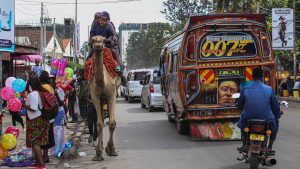  Kenyan Somali children enjoy a Camel ride along Muratina road Eastleigh during Eid-Ul-Fitr celebrations. Photo: Boniface Muthoni/SOPA Images/LightRocket via Getty Images