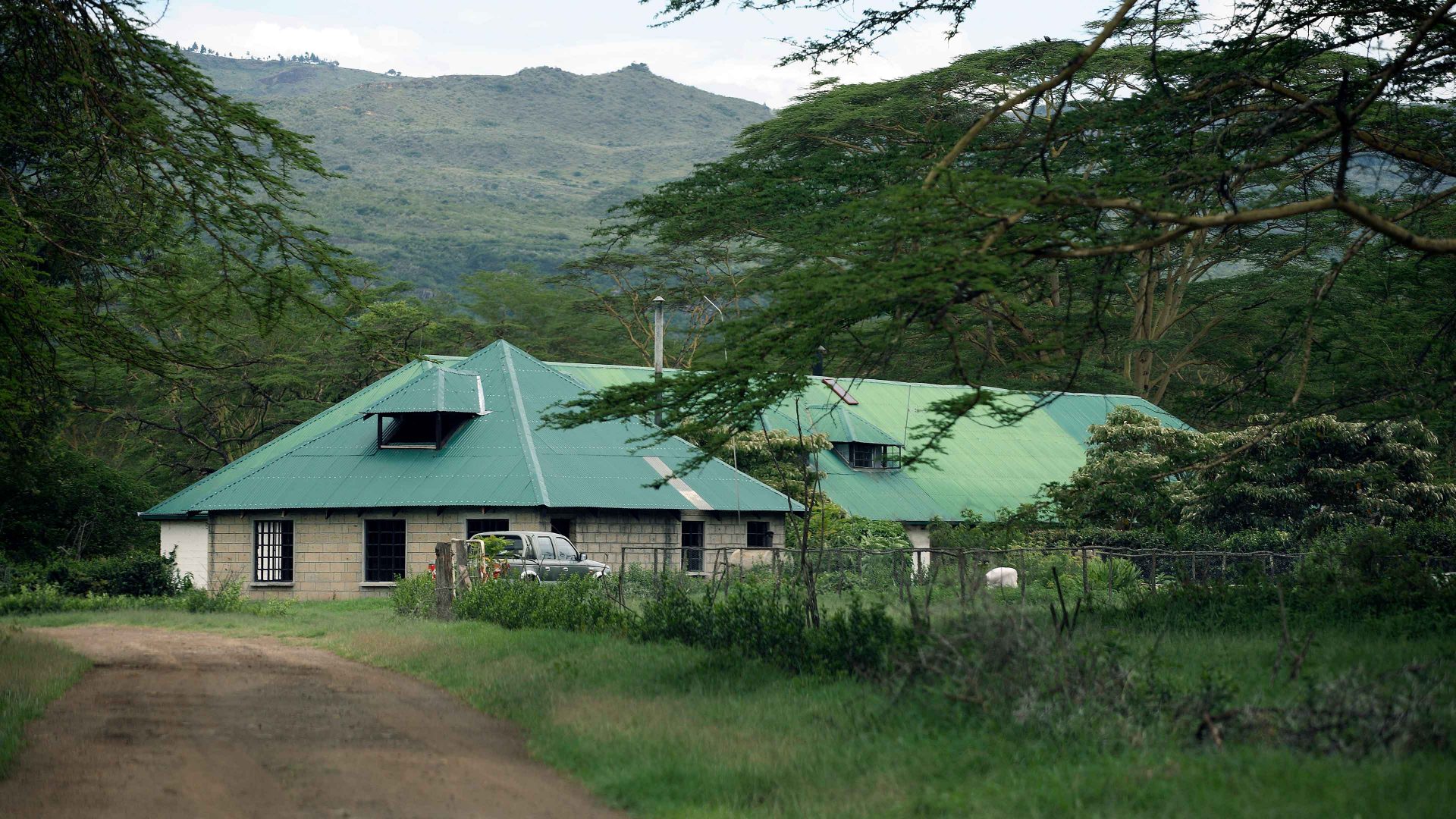 The remains of the coke-snorting, boozing British empire