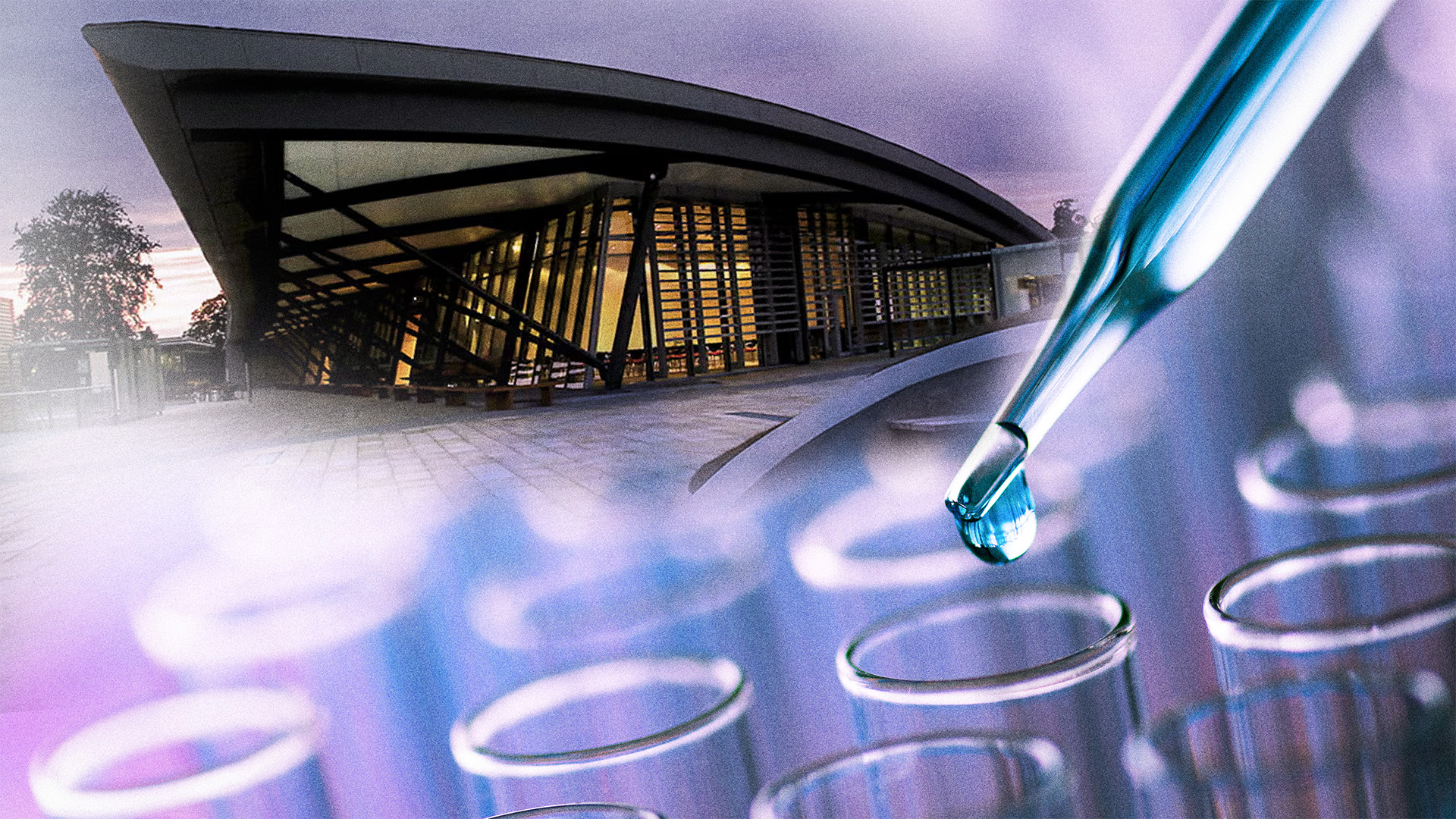 Is this the best lab in the world?