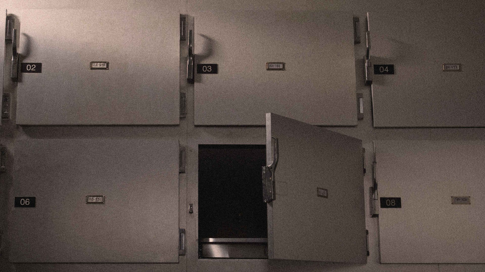 'Throw it in a ditch,’ said Diogenes. Today, philosophers are still arguing how to deal with corpses- now with hydrolysis. Image: TNW