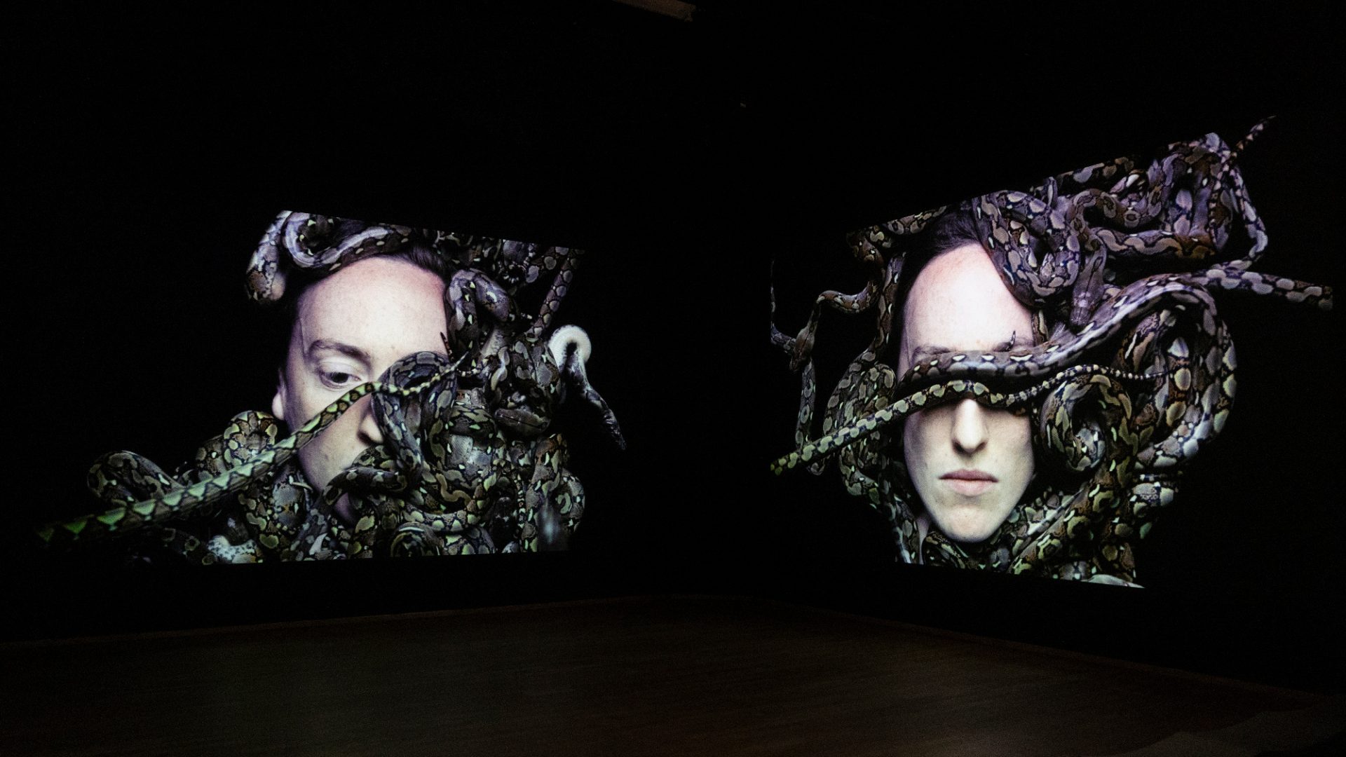 Spawn by Juul Kraijer, part of the Metamorphoses exhibition at the Rijksmuseum, Amsterdam. Image: Juul Kraijer Studio/Rijksmuseum