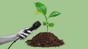 Plants are more responsive than we think. Image: TNW/Getty