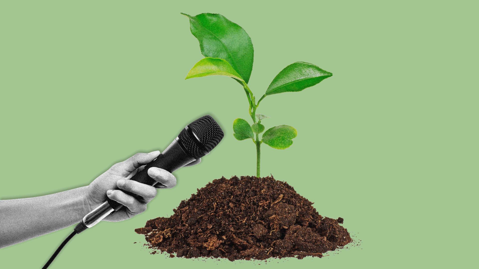 Plants are more responsive than we think. Image: TNW/Getty