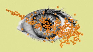 The word lens is directly derived from the Latin word for lentil. Image: TNW