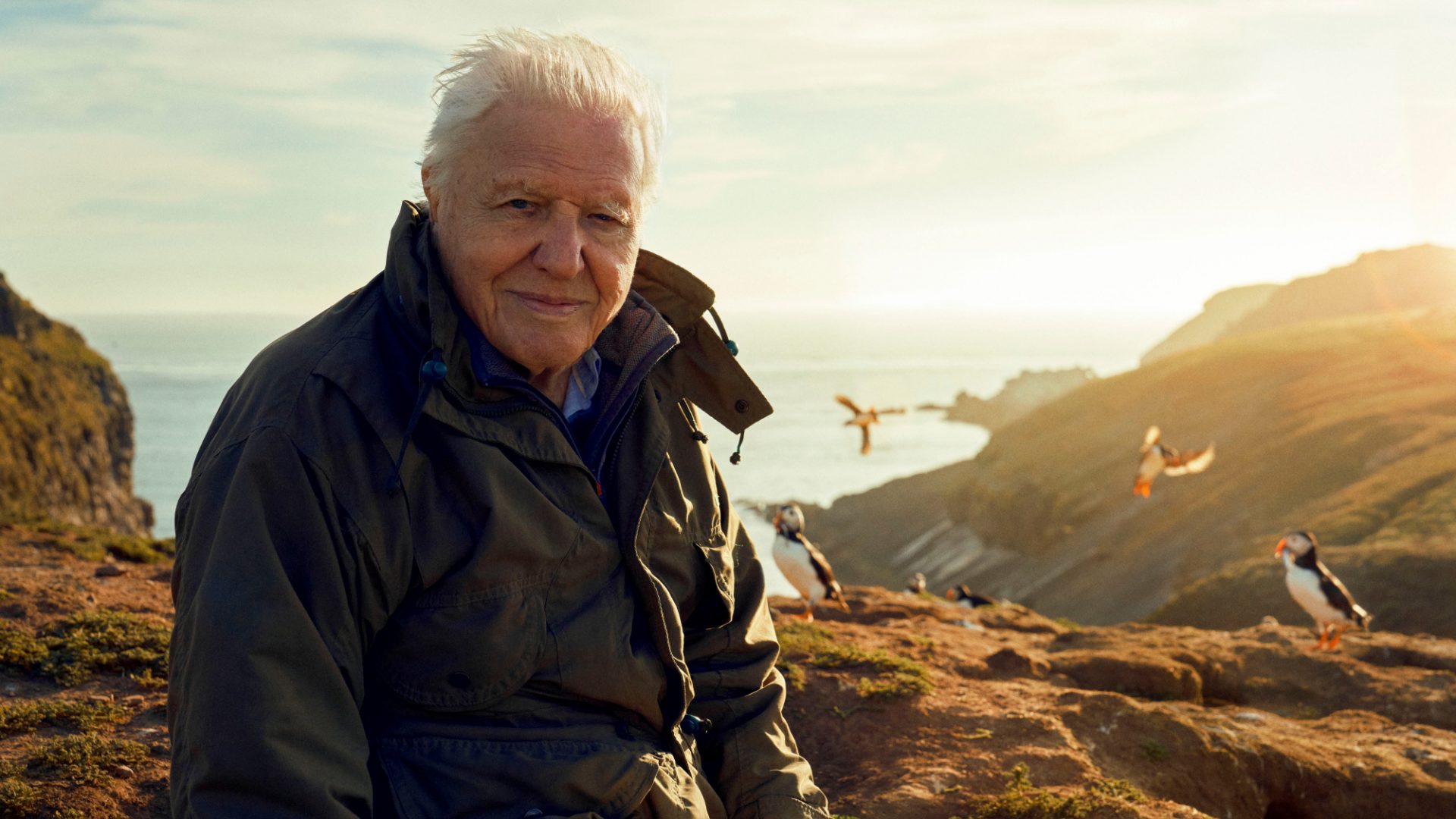 David Attenborough filming puffins for Wild Isles on Skomer Island, 2022. Image: BBC/Silverback Films/Alex Board