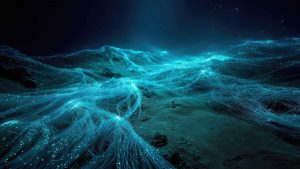 There are an estimated 570 operational cables extending more than 1.5 million kilometres along the seabed. They carry 97% of the world’s internet traffic including financial data and military communications. Image: TNW/Getty
