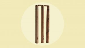 In cricket, bowlers can take a wicket by pitching the ball on the wicket and hitting the wickets. Image: TNW