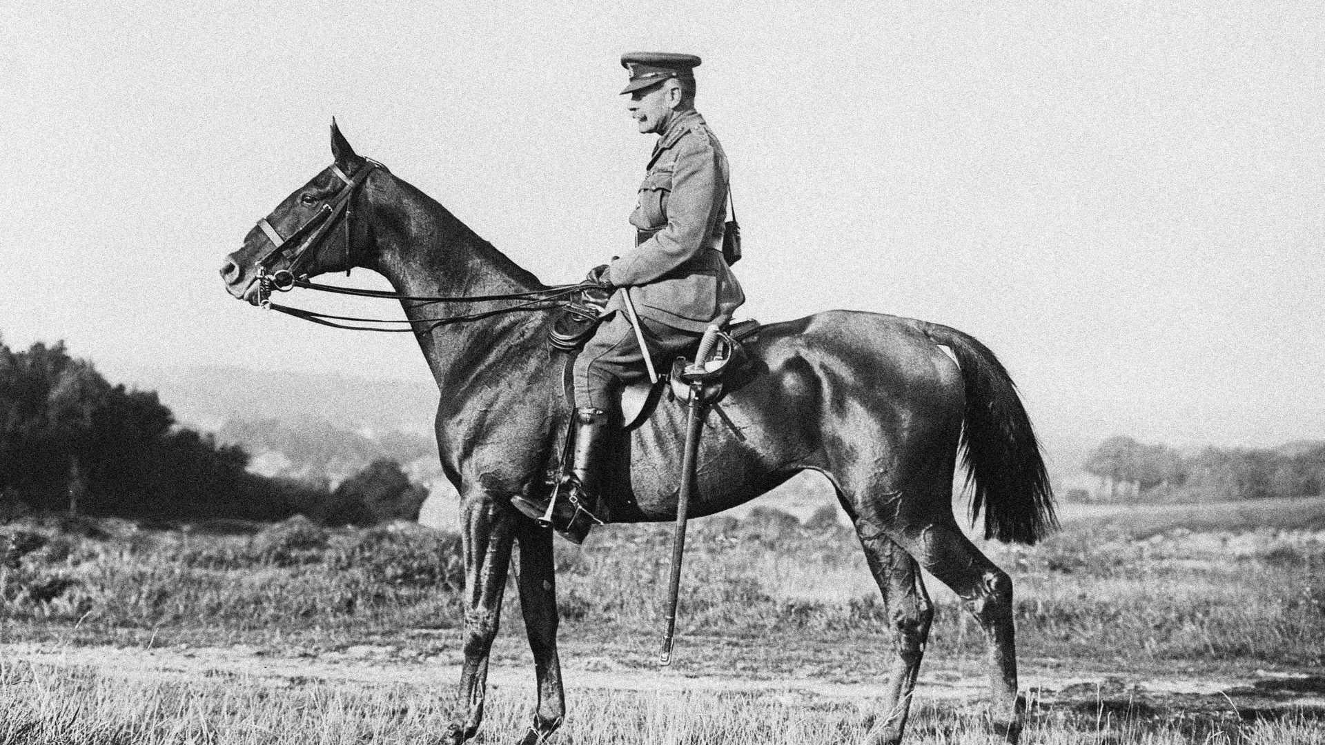 Field marshal Douglas Haig, commander of the British Expeditionary Force on the western front from 1915 to 1918. Image: TNW/Getty